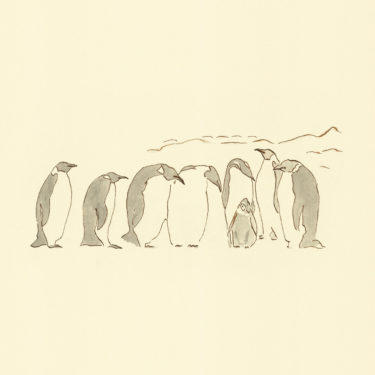 An Illustration with watercolour and ink with the title 'Penguins'.