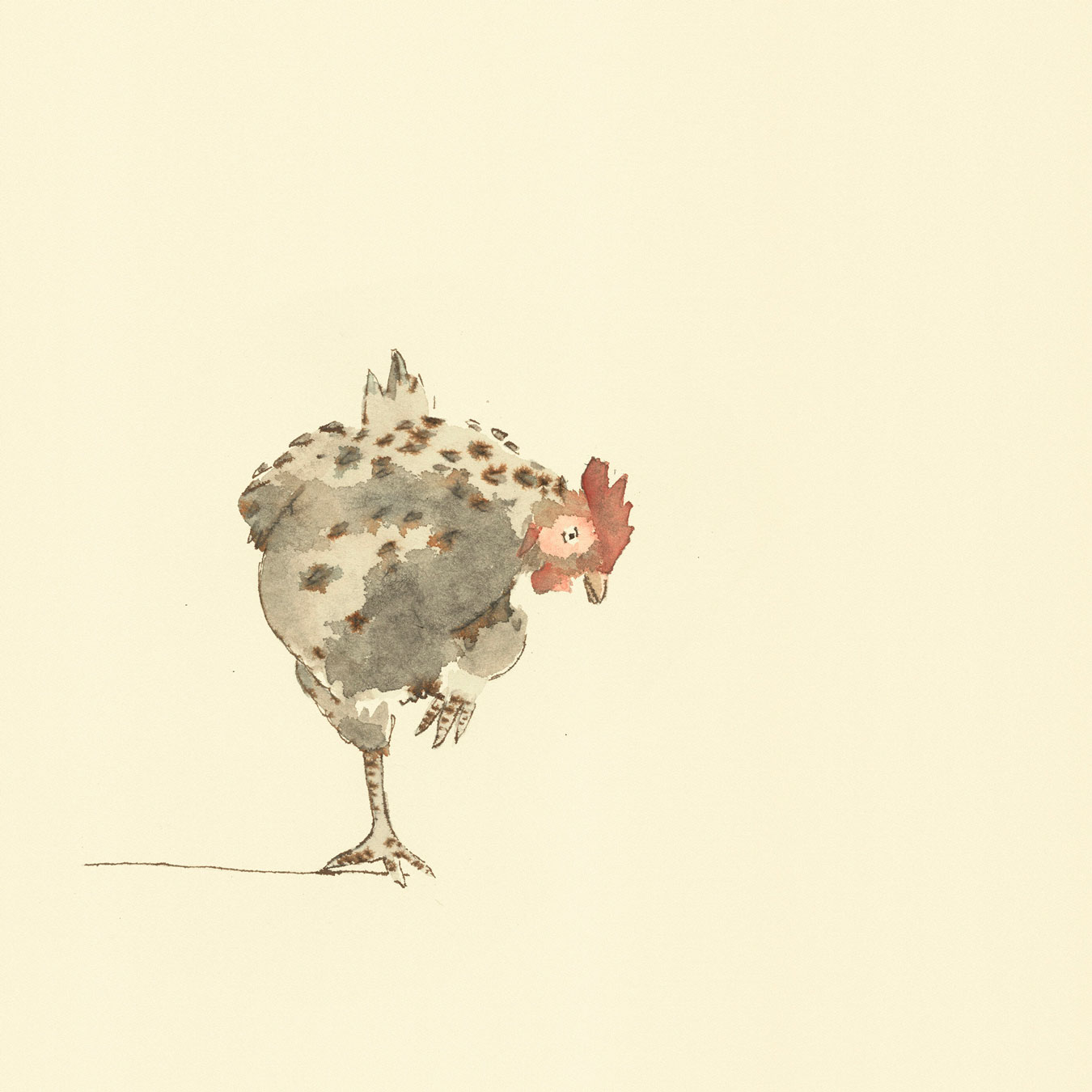 Illustration with watercolour and ink with the title 'Chicken'