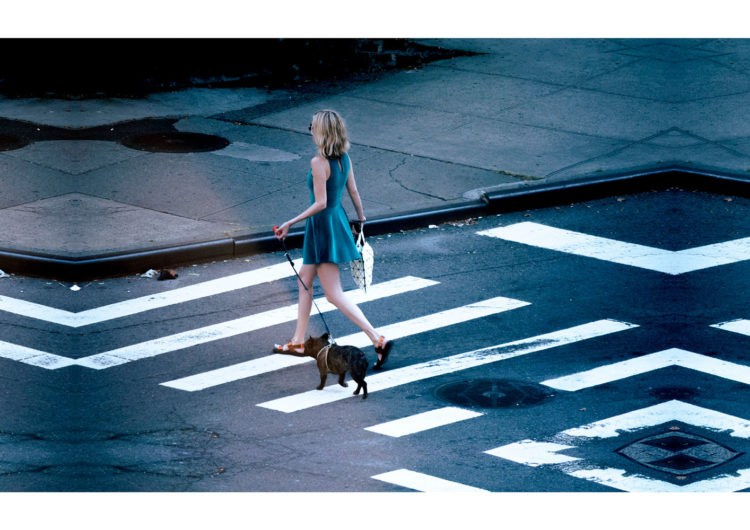 Street photography with the title 'NYC'. A woman in a dress crossing the road with her dog on a leash.