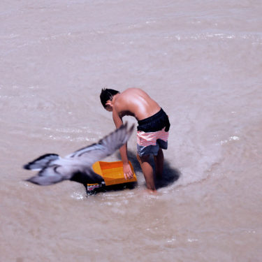 Photography of a boy playing in the ocean with a dove flying through the frame with the title 'The weather of the wind'.