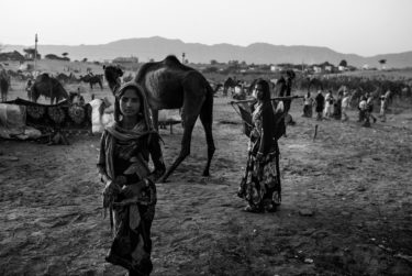 india 23 - black and white portrait of an indian girl and a woman in front of a camel - by Will Falize - friendmade.fm